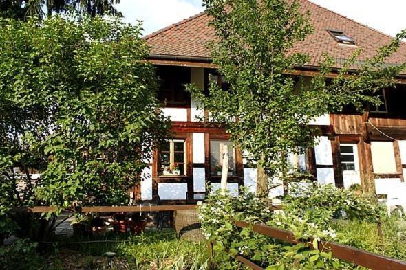Apartments Saba & Jona Uetendorf Екстериор снимка